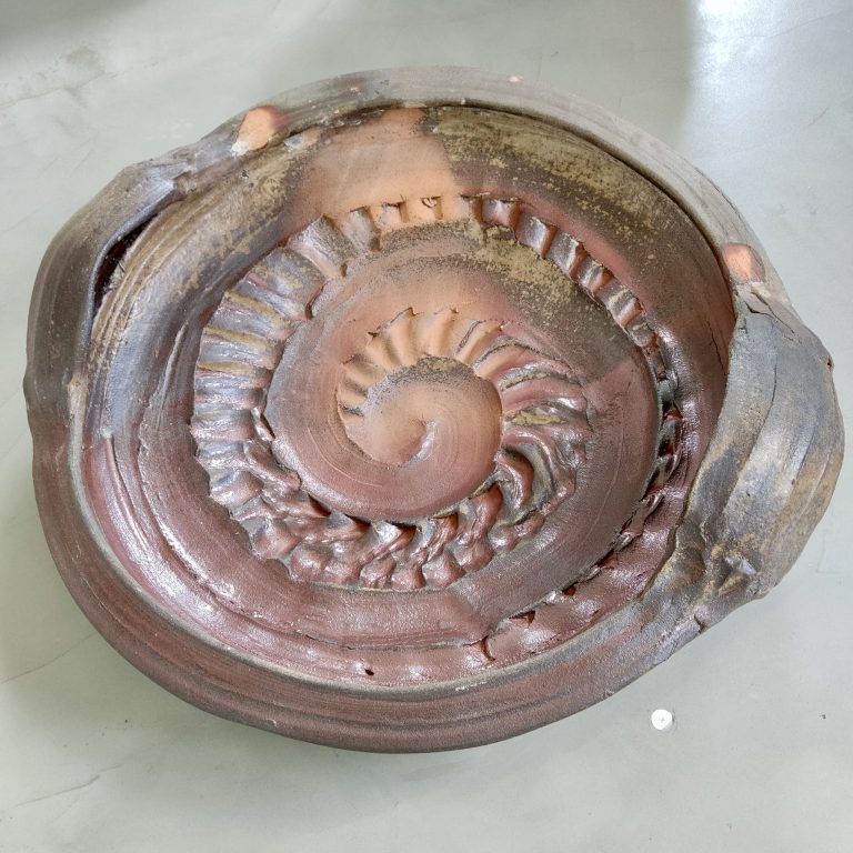 Plat brut 2